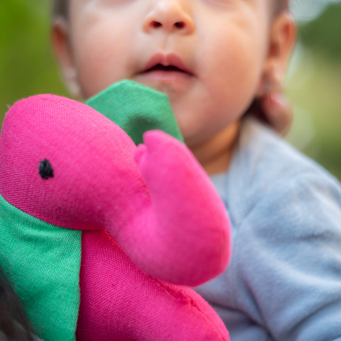 Image of Flexy Travel Essentials Bundle