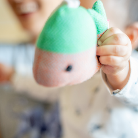 Image of Flexy Travel Essentials Bundle