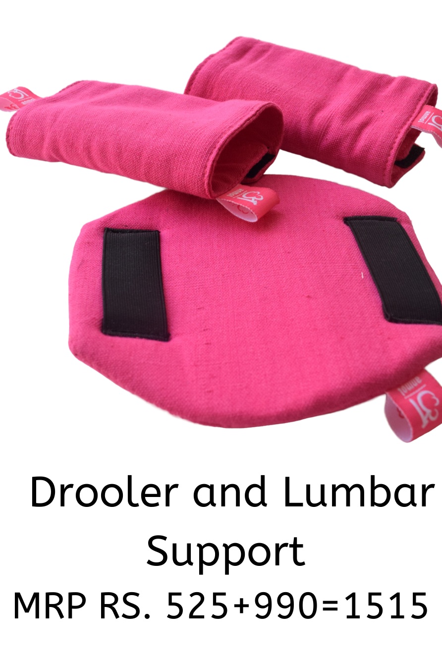 Droolers and Lumbar Support Anmol Baby Carriers