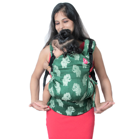 Image of Hasti Green Flexy+Lumbar Support+Droolers - Anmol Baby Carriers