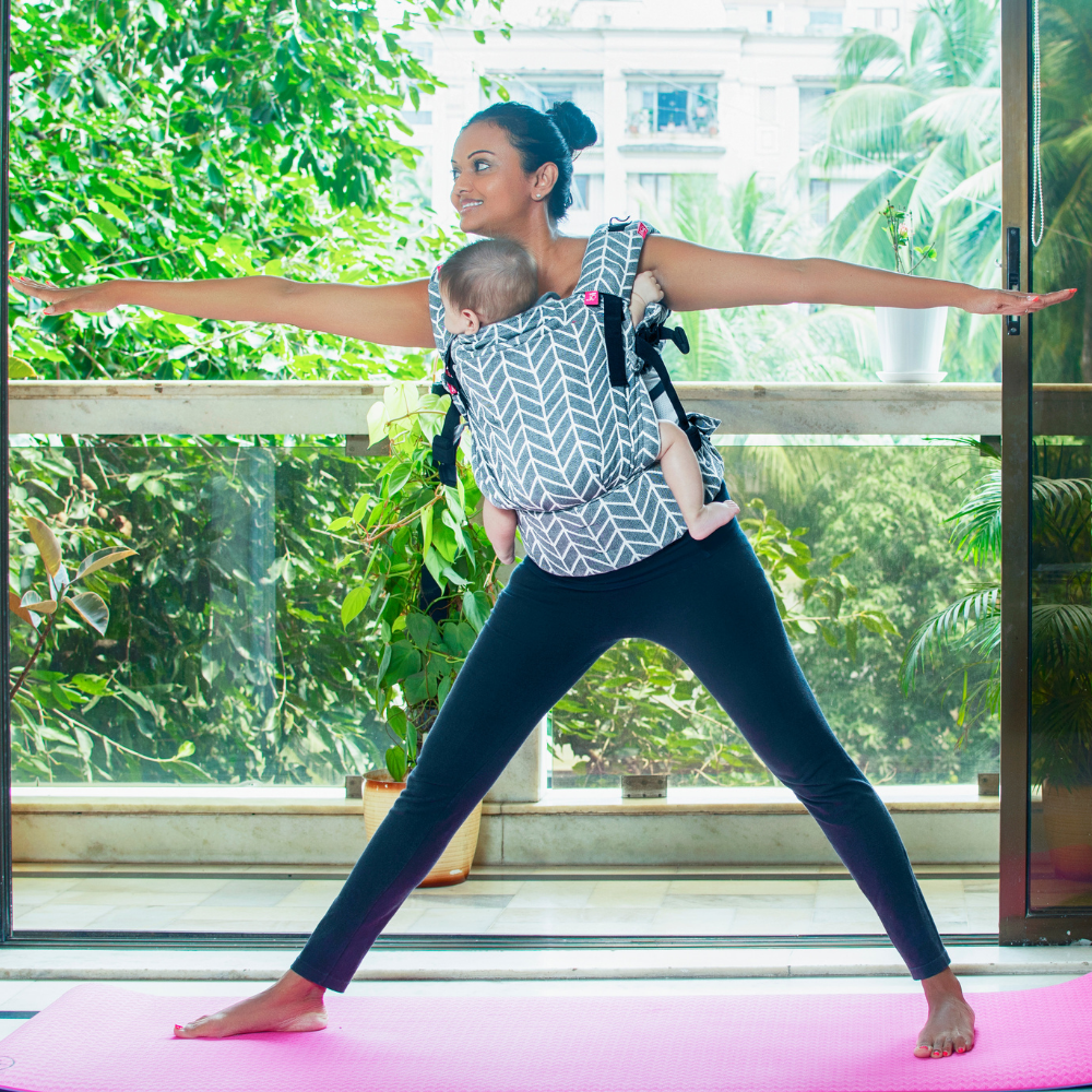 Shiv Snow Flexy - Anmol Baby Carriers