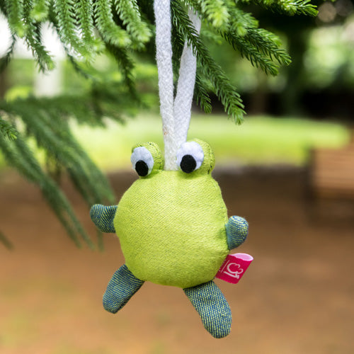 Toys - Frog - Anmol Baby Carriers