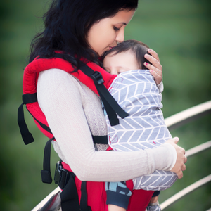 Shiv Red Flexy+Lumbar Support+Droolers - Anmol Baby Carriers